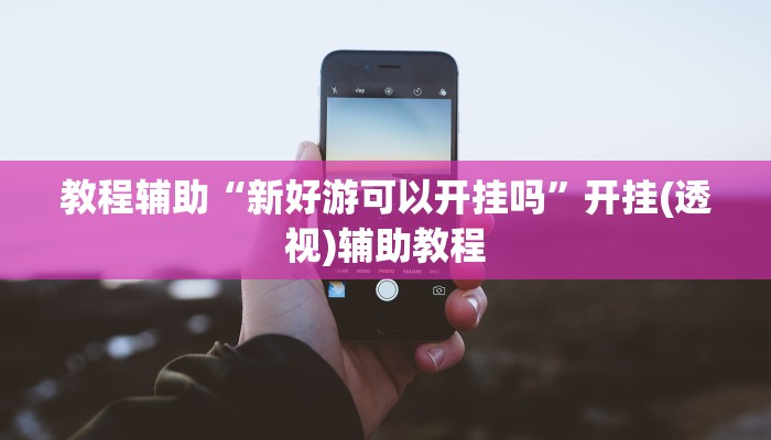 教程辅助“新好游可以开挂吗”开挂(透视)辅助教程