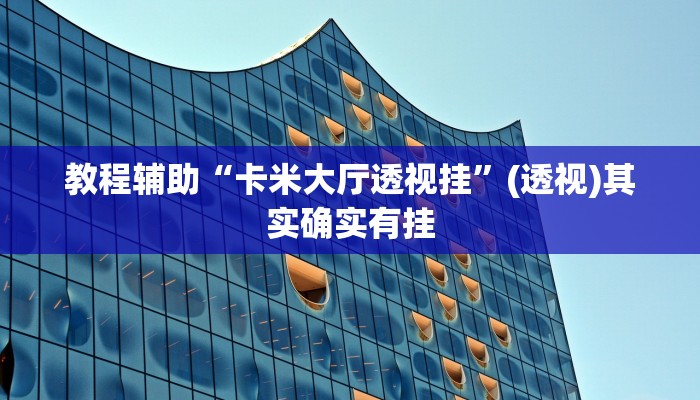 教程辅助“卡米大厅透视挂”(透视)其实确实有挂