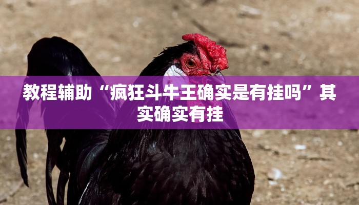 教程辅助“疯狂斗牛王确实是有挂吗”其实确实有挂