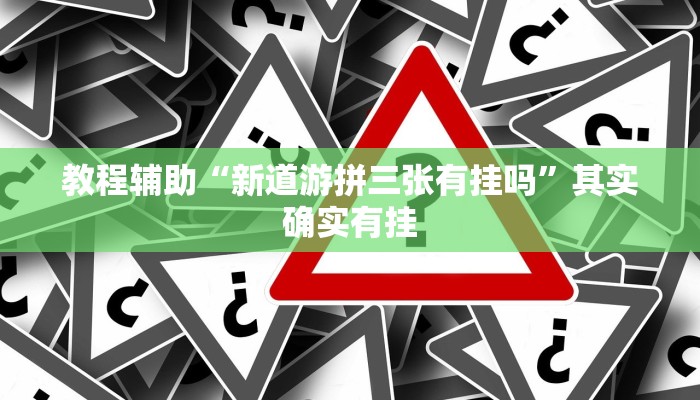 教程辅助“新道游拼三张有挂吗”其实确实有挂