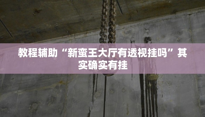 教程辅助“新蛮王大厅有透视挂吗”其实确实有挂