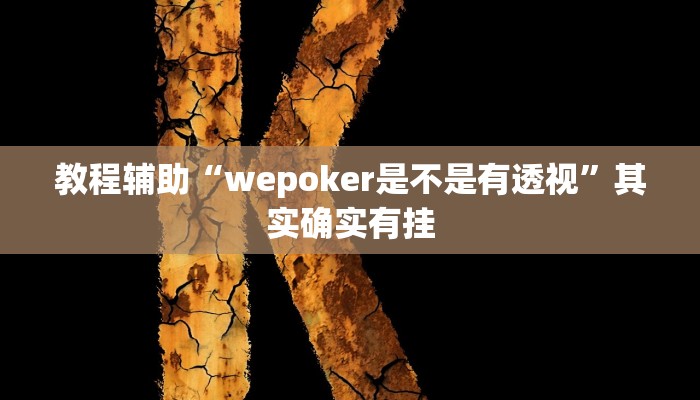 教程辅助“wepoker是不是有透视”其实确实有挂
