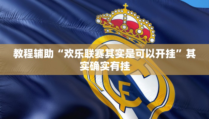 教程辅助“欢乐联赛其实是可以开挂”其实确实有挂