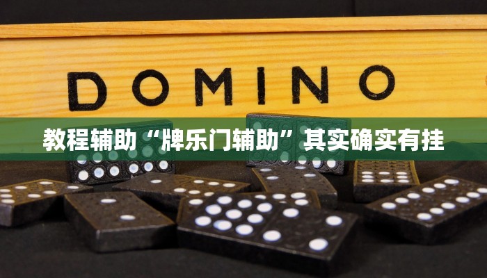 教程辅助“牌乐门辅助”其实确实有挂