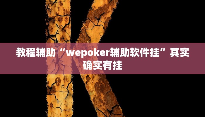 教程辅助“wepoker辅助软件挂”其实确实有挂