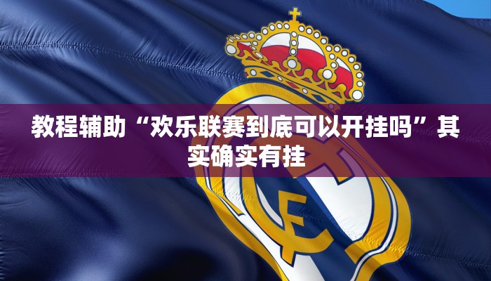 教程辅助“欢乐联赛到底可以开挂吗”其实确实有挂