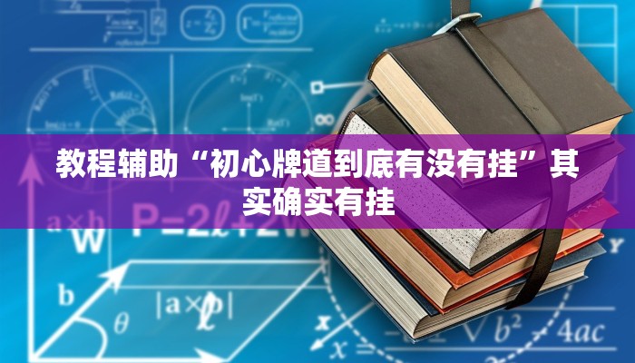 教程辅助“初心牌道到底有没有挂”其实确实有挂