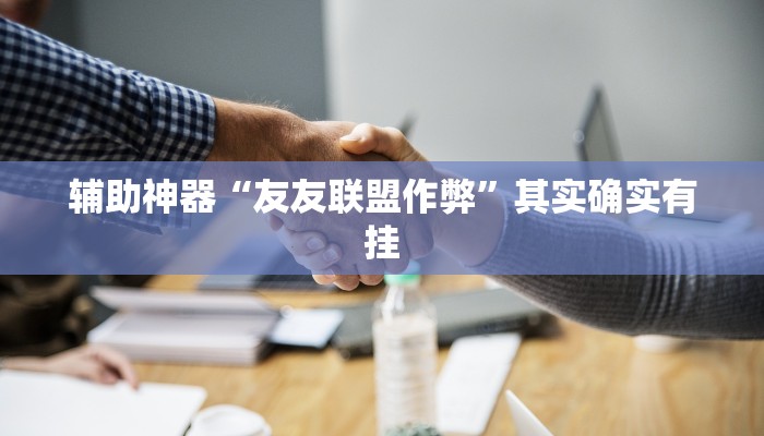辅助神器“友友联盟作弊”其实确实有挂