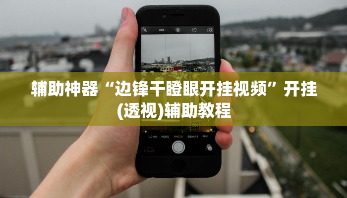 辅助神器“边锋干瞪眼开挂视频”开挂(透视)辅助教程