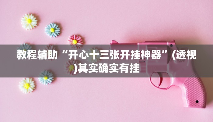 教程辅助“开心十三张开挂神器”(透视)其实确实有挂