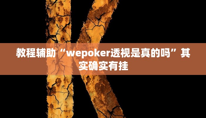 教程辅助“wepoker透视是真的吗”其实确实有挂