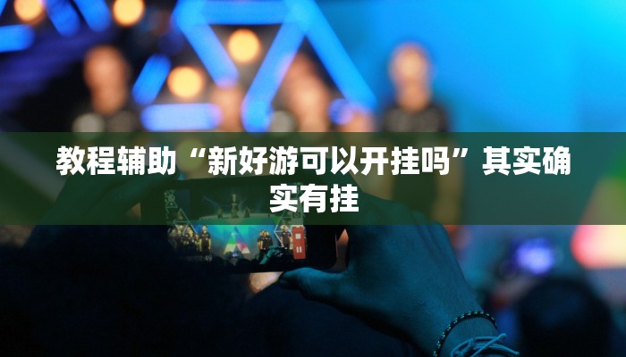 教程辅助“新好游可以开挂吗”其实确实有挂