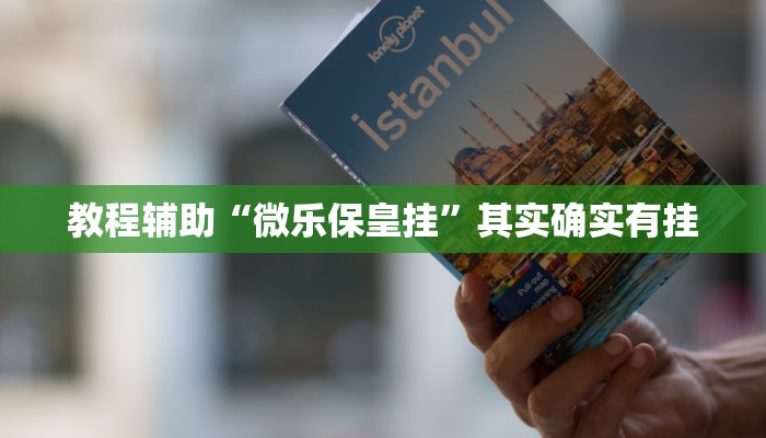 教程辅助“微乐保皇挂”其实确实有挂