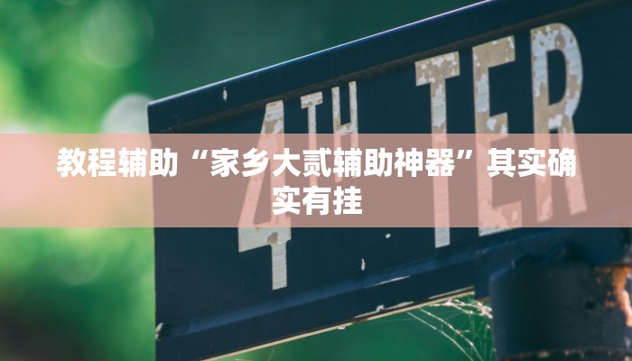 教程辅助“家乡大贰辅助神器”其实确实有挂