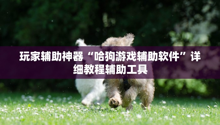 玩家辅助神器“都莱罗松开挂教程”其实确实有挂