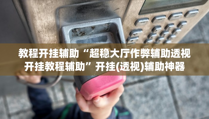 教程辅助“永胜联盟透视挂”开挂辅助详细步骤