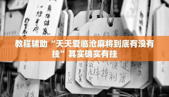 玩家辅助神器“微乐安徽麻将万能开挂器通用版”详细教程辅助工具
