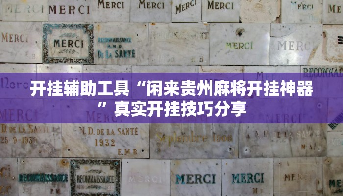 玩家辅助神器“天天福州十三水有挂吗”详细教程辅助工具