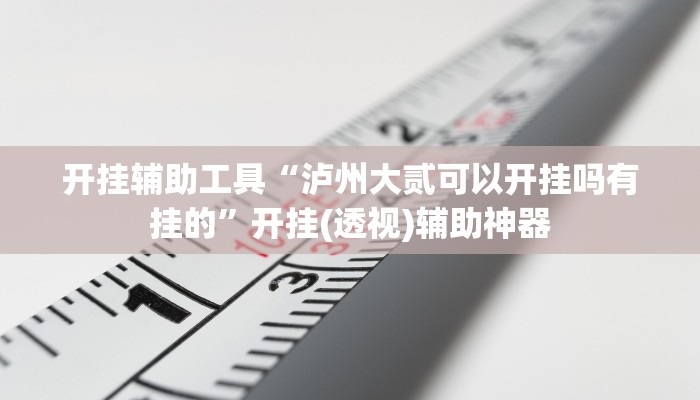 玩家辅助神器“边锋陕西麻将开挂视频教程”其实确实有挂