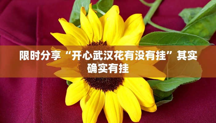 玩家辅助神器“wepoker透视作弊挂教程”详细教程辅助工具