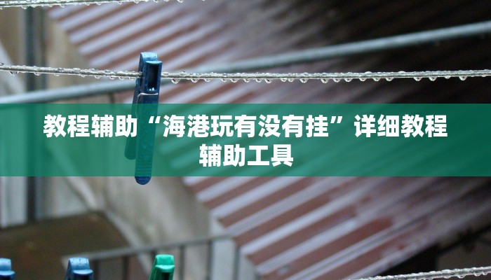 教程辅助“海港玩有没有挂”详细教程辅助工具