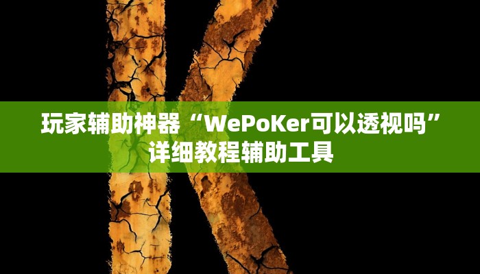 玩家辅助神器“WePoKer可以透视吗”详细教程辅助工具
