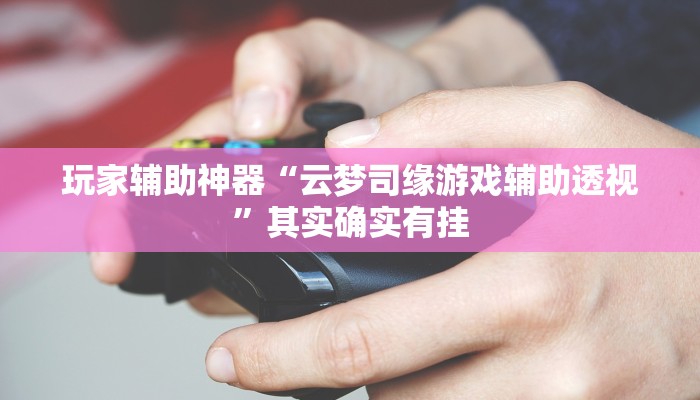 玩家辅助神器“云梦司缘游戏辅助透视”其实确实有挂