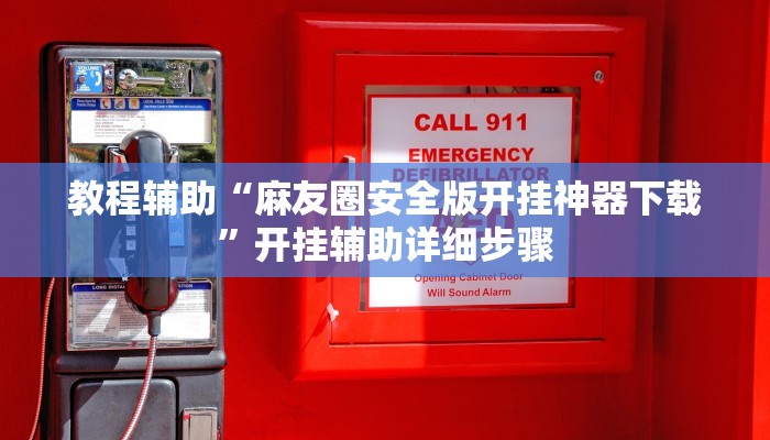 教程辅助“麻友圈安全版开挂神器下载”开挂辅助详细步骤