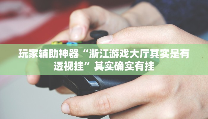 玩家辅助神器“浙江游戏大厅其实是有透视挂”其实确实有挂