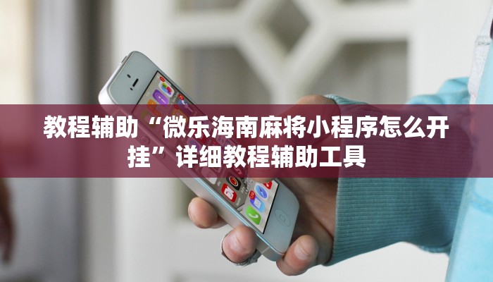 教程辅助“微乐海南麻将小程序怎么开挂”详细教程辅助工具