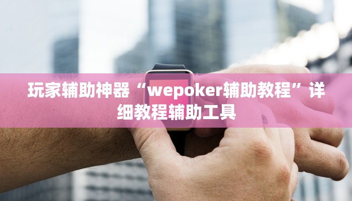 玩家辅助神器“wepoker辅助教程”详细教程辅助工具