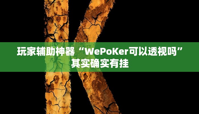 玩家辅助神器“WePoKer可以透视吗”其实确实有挂