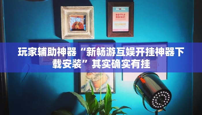 玩家辅助神器“新畅游互娱开挂神器下载安装”其实确实有挂