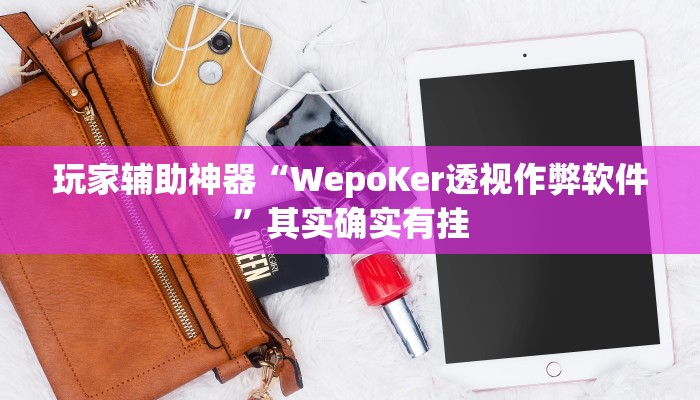 玩家辅助神器“WepoKer透视作弊软件”其实确实有挂