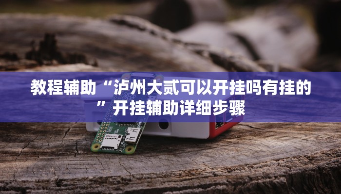 教程辅助“泸州大贰可以开挂吗有挂的”开挂辅助详细步骤