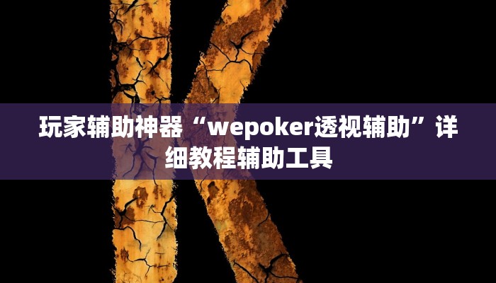 玩家辅助神器“wepoker透视辅助”详细教程辅助工具