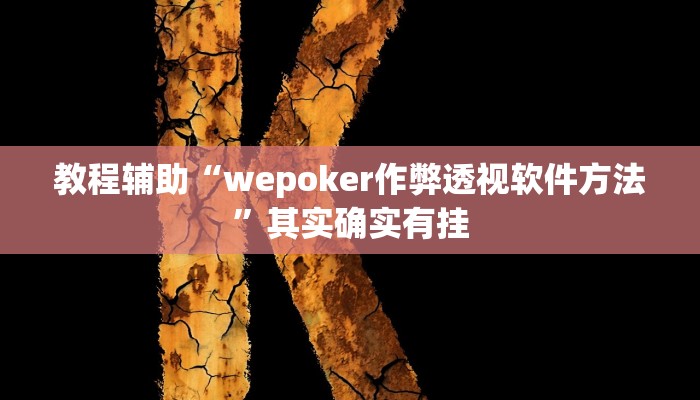 教程辅助“wepoker作弊透视软件方法”其实确实有挂