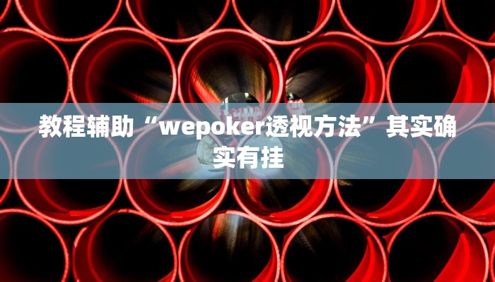 教程辅助“wepoker透视方法”其实确实有挂
