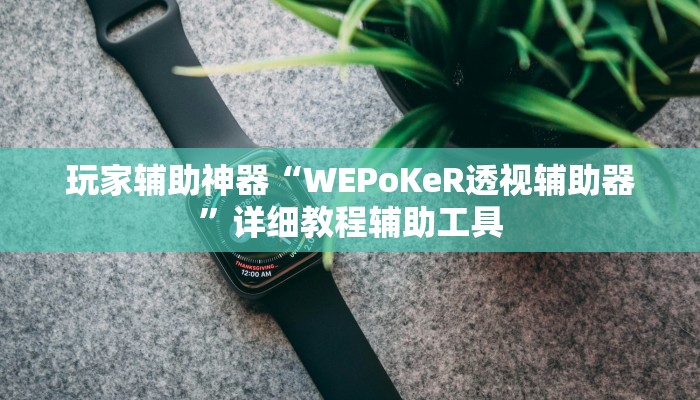 玩家辅助神器“WEPoKeR透视辅助器”详细教程辅助工具