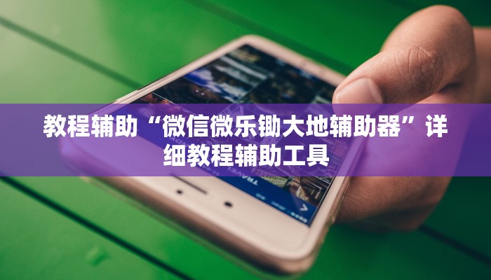 教程辅助“微信微乐锄大地辅助器”详细教程辅助工具