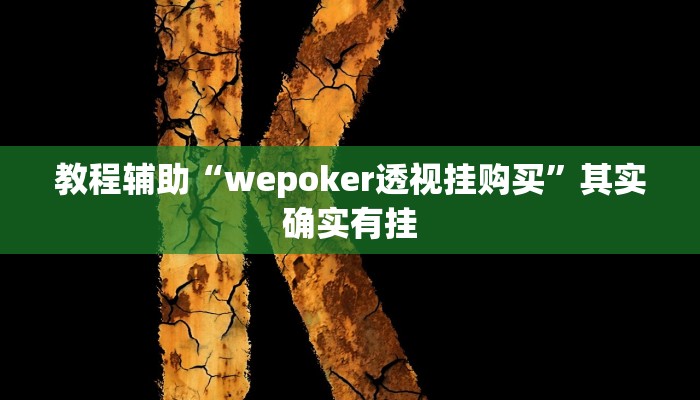 教程辅助“wepoker透视挂购买”其实确实有挂