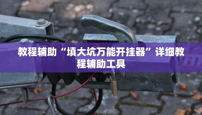 教程辅助“填大坑万能开挂器”详细教程辅助工具