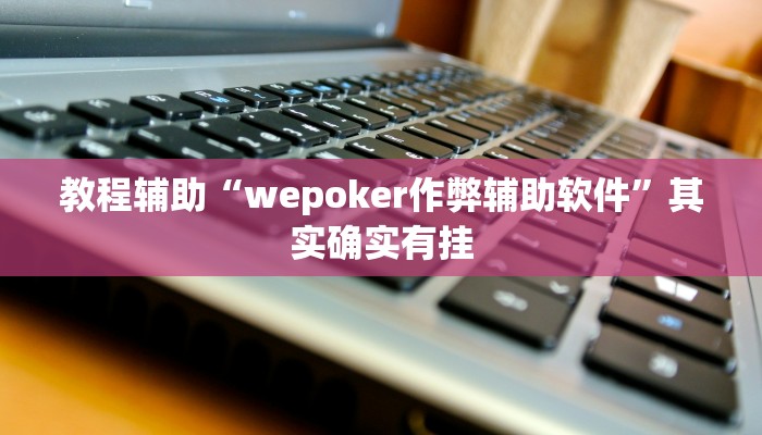 教程辅助“wepoker作弊辅助软件”其实确实有挂