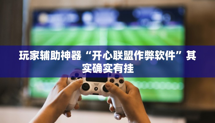 玩家辅助神器“开心联盟作弊软件”其实确实有挂