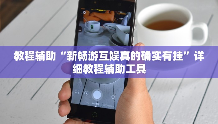教程辅助“新畅游互娱真的确实有挂”详细教程辅助工具