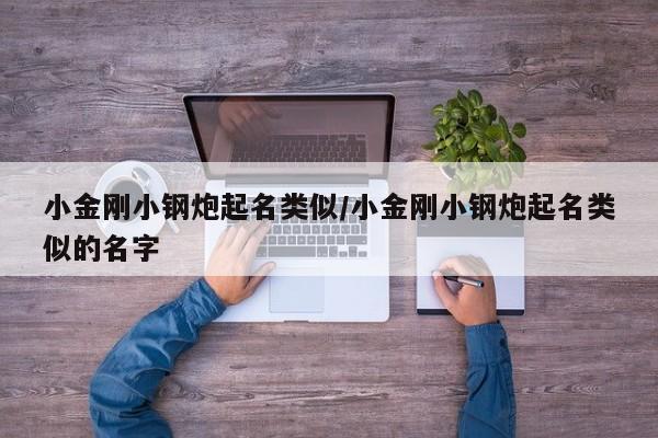 小金刚小钢炮起名类似/小金刚小钢炮起名类似的名字